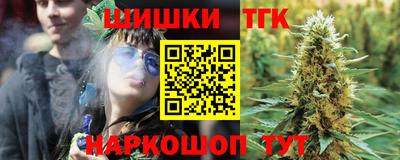 амф Кингисепп