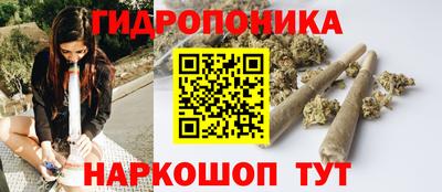 хмурый Кимры