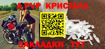 амф Кингисепп