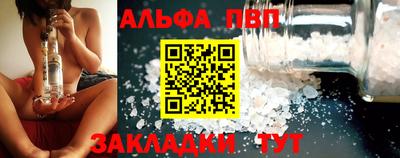 амф Кингисепп