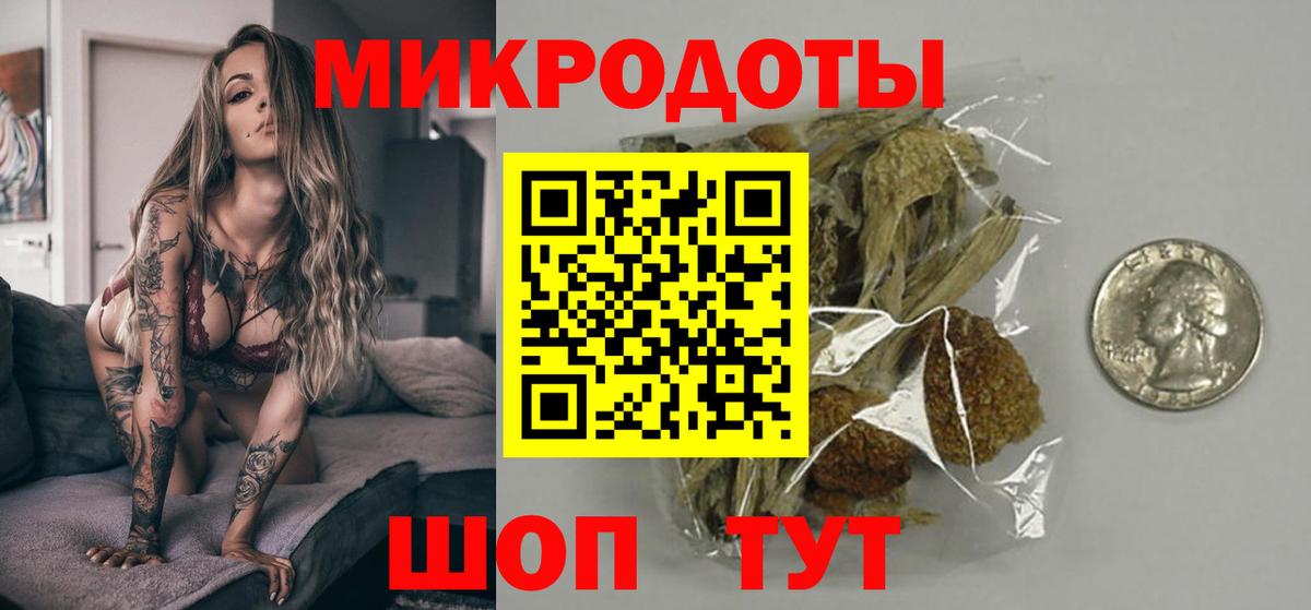 Псилоцибиновые грибы мицелий  Вход с VPN  Псилоцибиновые грибы прущие грибы  Лесной 