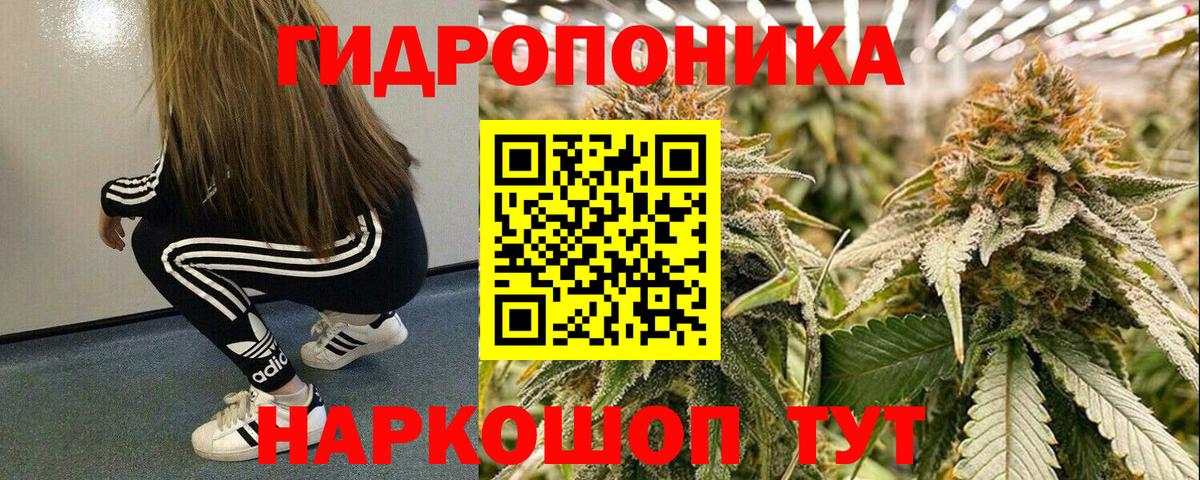 Конопля Ganja  Канабис марихуана  Вход с VPN  Конопля LSD WEED  Лесной  Канабис MAZAR 